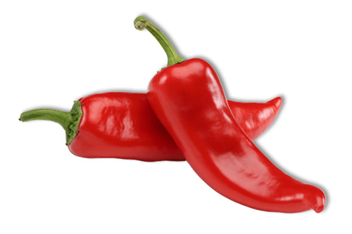 aji-inicio-2